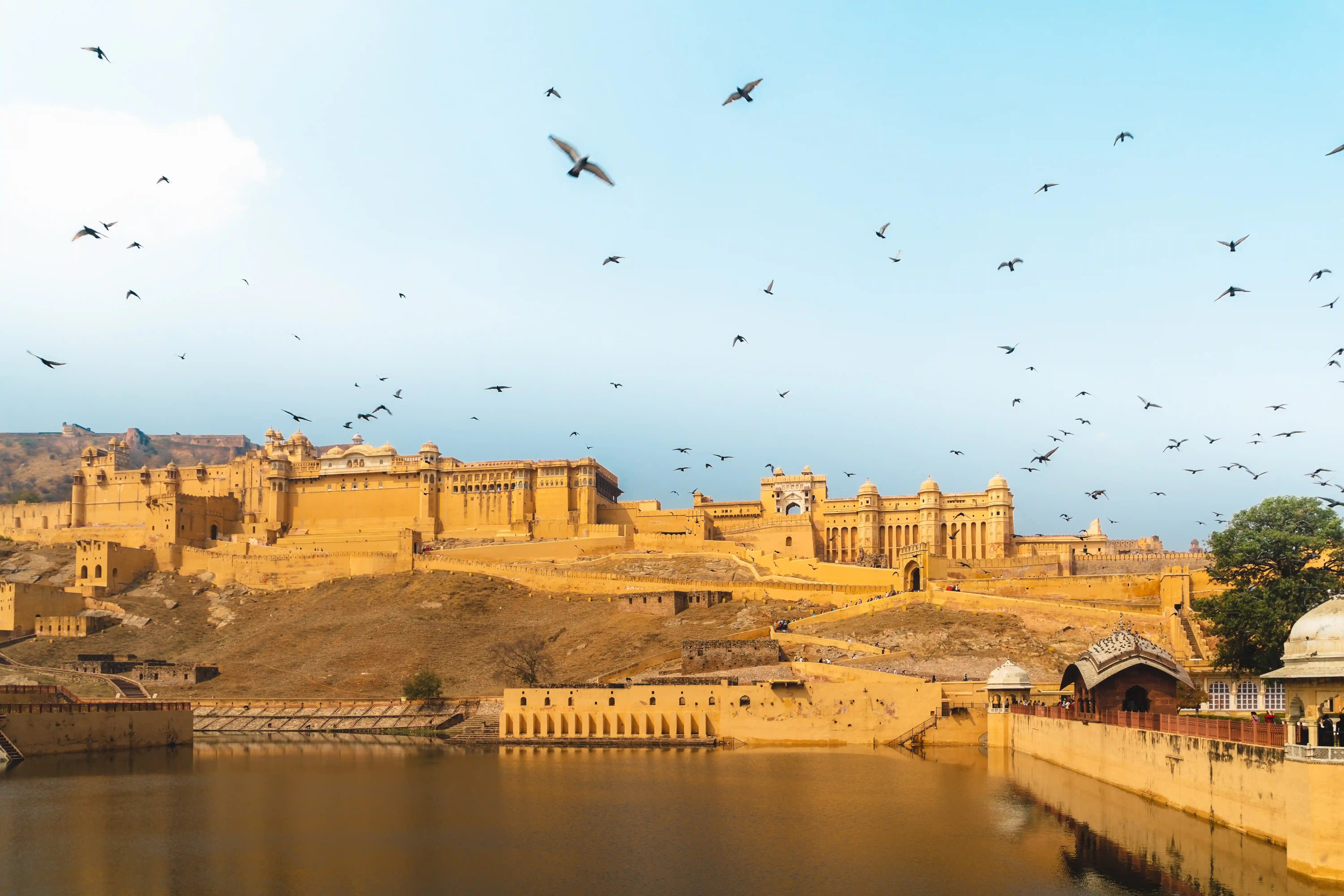 THE MAJESTIC RAJASTHAN
